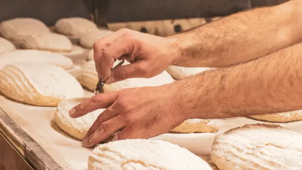 Hands scoring flour-dusted loaves on a bakery work surface.