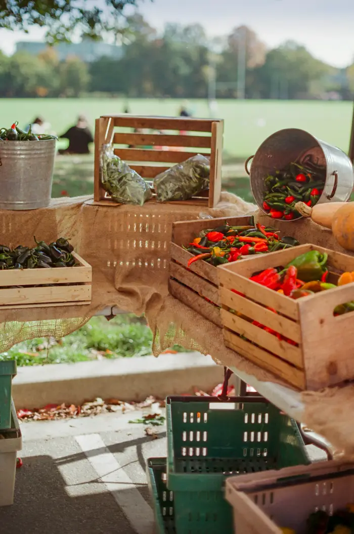 Peppers, leafy greens and squash displayed in crates and buckets at an outdoor market.