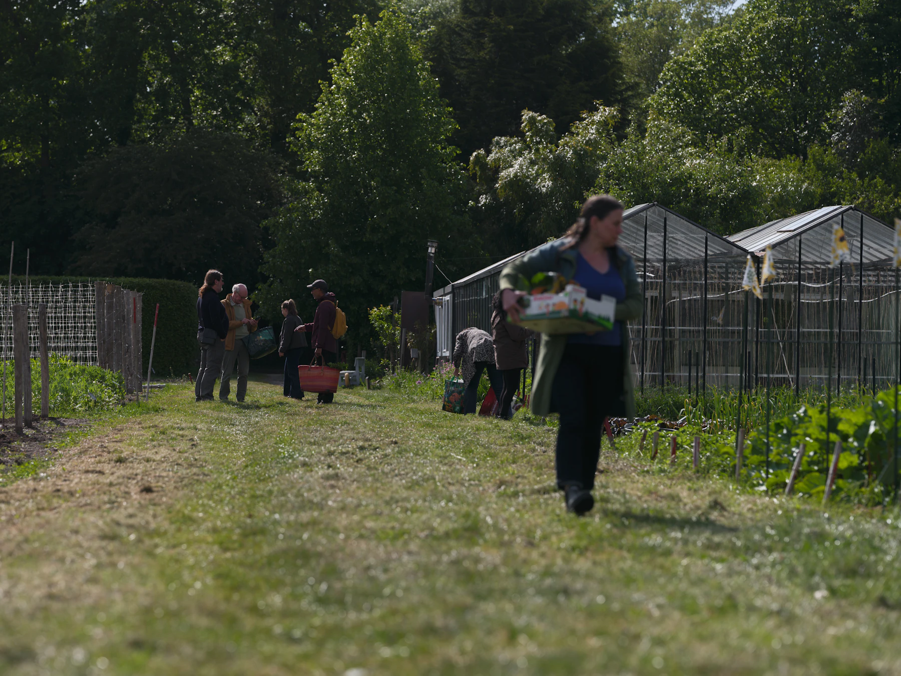 People gathering beside vegetable beds and greenhouses.